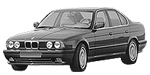 BMW E34 C12B8 Fault Code